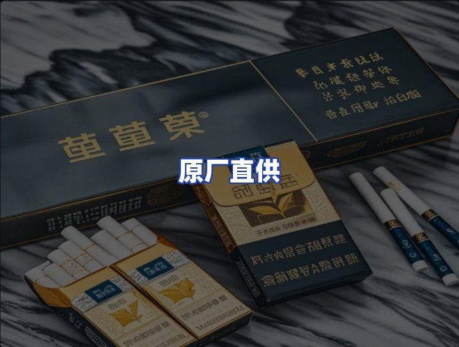 专业团队